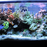 40 SPS