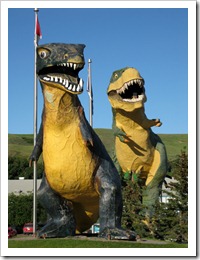 IMG_3216 IMG_3216