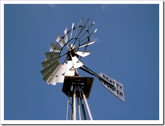IMG_3450 IMG_3450