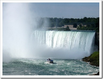 IMG_3998 IMG_3998