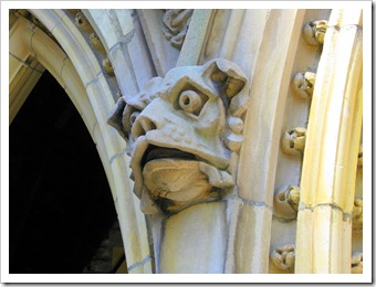 IMG_4282 IMG_4282