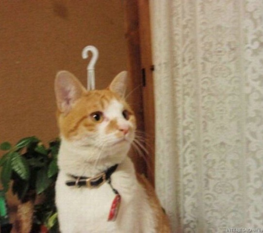 Funny Funny