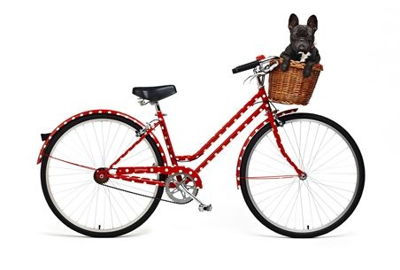 [beachbunballow8-bike_007contentImage[3].jpg]