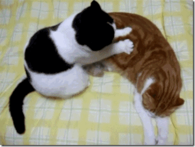 tumblr_lkre9y03Hz1qhspilo1_400_large