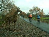 Mandley Meander : November 09