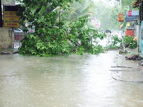 Rain In Chennai