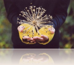 photography-e711f647fe3d14b108f13b541ae3c531_h