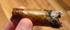 DSC02595.JPG