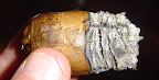 DSC04673.JPG