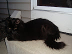 DSC05952.JPG