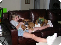 Scary dog!!! Scary dog!!!