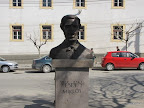 Wesselényi Miklós