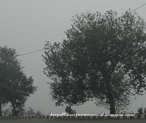 [delhi_fog_1[2].jpg]