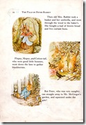 peter rabbit_4 peter rabbit_4