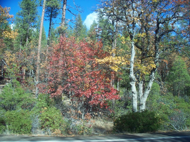 [Burney Falls, )oct 2010 058[5].jpg]