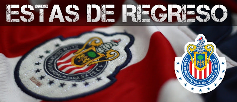http://lh3.ggpht.com/_ZgyN6NY4ARc/S5ljJ19mjyI/AAAAAAAAAhE/5fMvvjErCkk/s800/elregreso.JPG