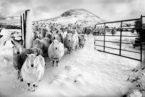 Beautiful Black and White Photography