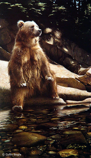 40 Beautiful 

Wildlife Paintings by Collin Bogle 
