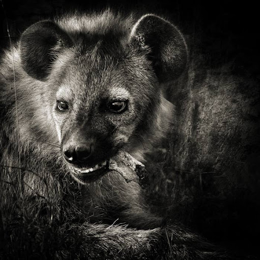 Spectacular Photography by Piet Flour
