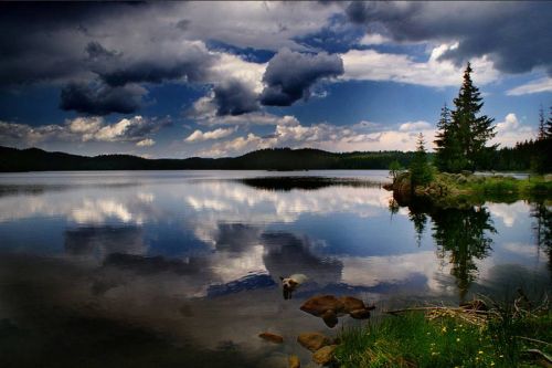 20
Beautiful Reflective Nature Photography