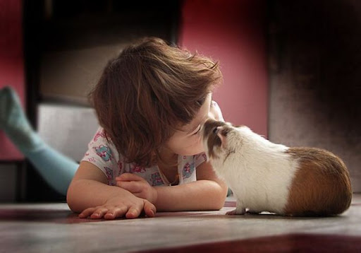 35
Beautiful Children's Portraits By Akval