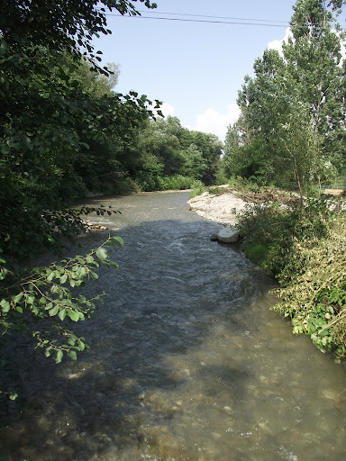 Kép