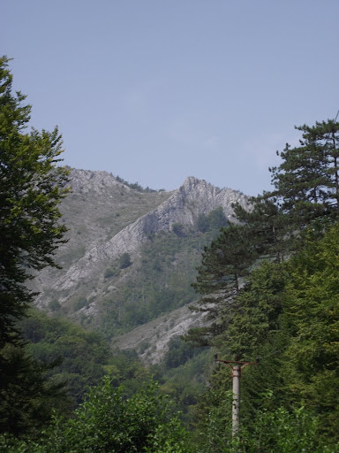 Kép