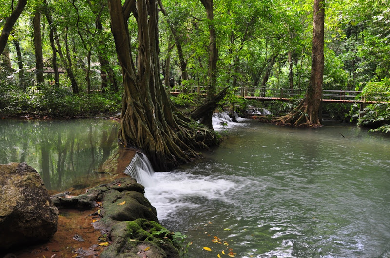 Ноябрь 2009 Поездка в Тай! Ноябрь 2009 Поездка в Тай!