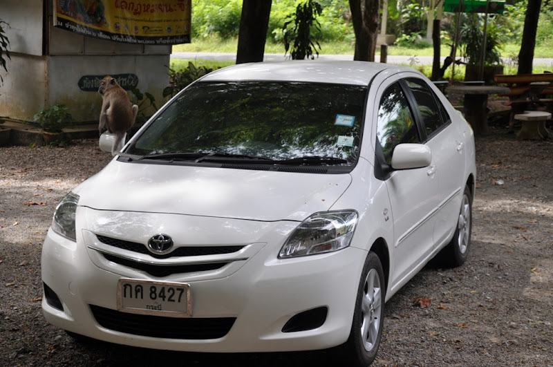 Ноябрь 2009 Поездка в Тай! Ноябрь 2009 Поездка в Тай!