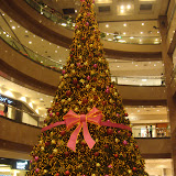 街中に巨大クリスマスツリーがたっくさん。