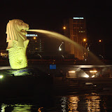 DSC02707.jpg