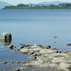 lago1.jpg