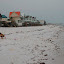 DSCN1321.JPG