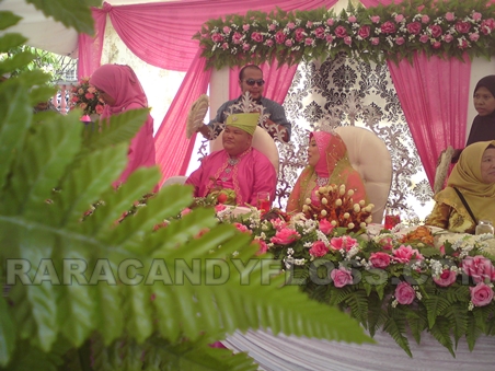 Pink and white theme