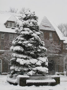Snow in Forest Hills 2010