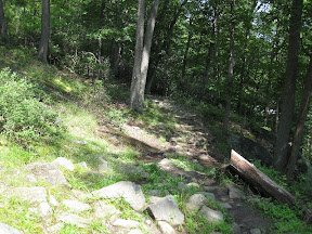 Bear Mountain Trails