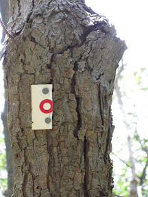 Follow-Up Marker at Bear Mountain Trails