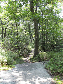 Bear Mountain Trails