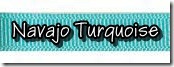 Navajo Turquoise Navajo Turquoise
