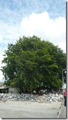 P1140285