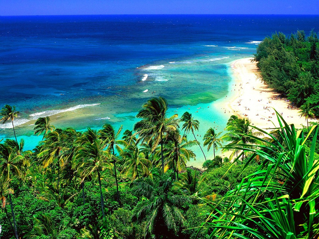 [timeshare-vacations[2].jpg]