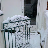 Snowy January