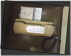 Picture6