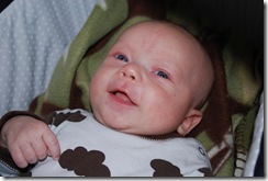 alexander (5)