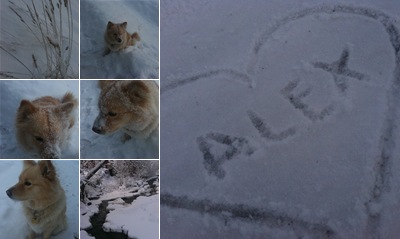 Visa ella i snön