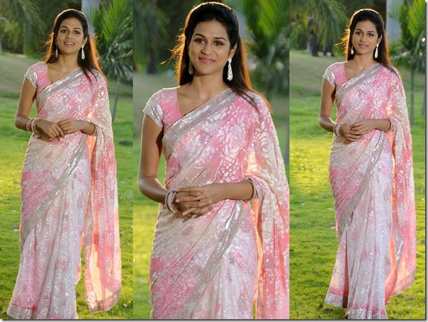 Shraddha_Das_Pink_Saree