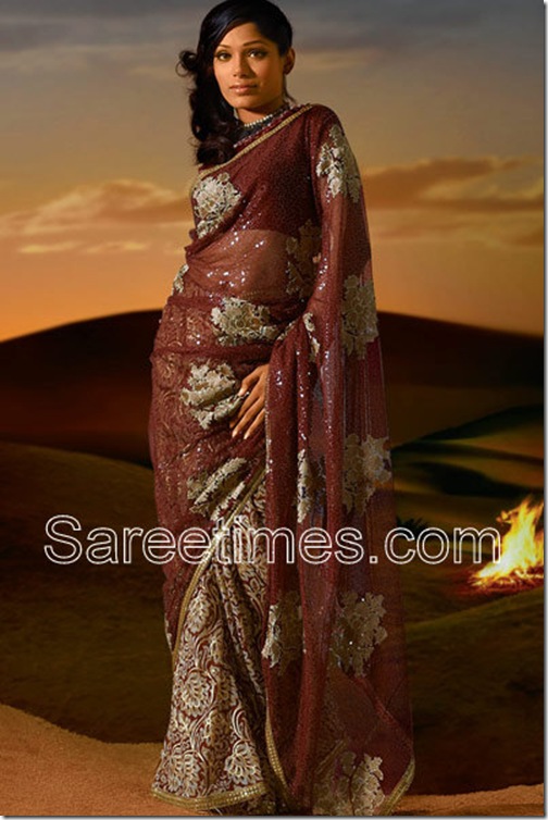 Frieda_Pinto_Maroon_Saree