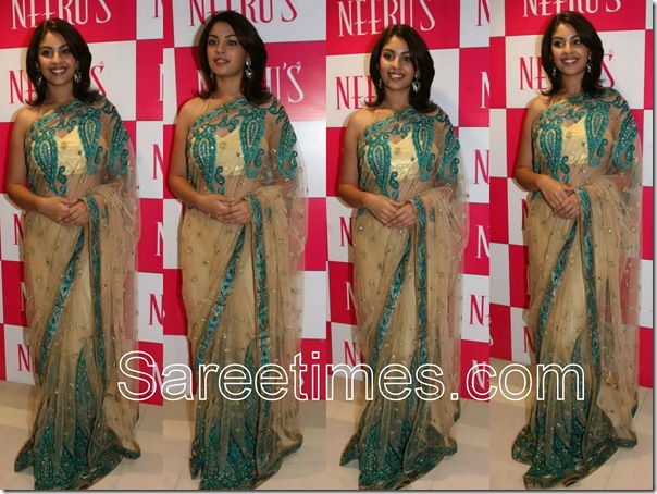 Richa_Gangopadhyay_Net_Saree