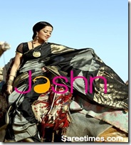 Celina_Jaitley_Designer_Saree (9)