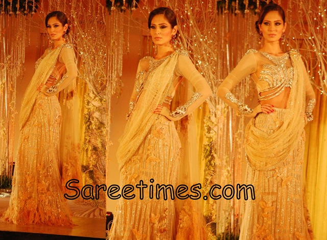 [Falguni_Shane_Bridal_Saree[3].jpg]